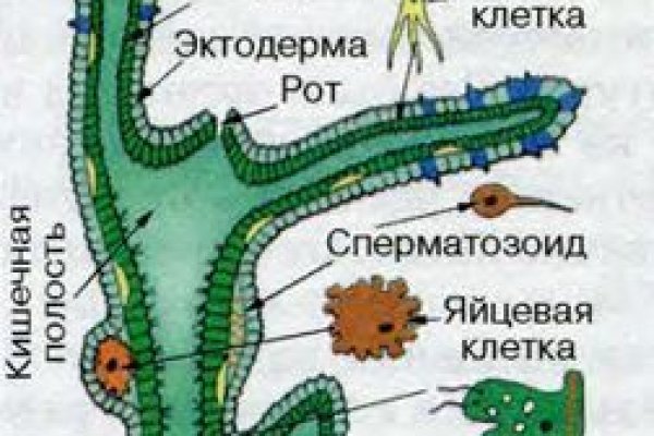 Оригинальная ссылка на кракен