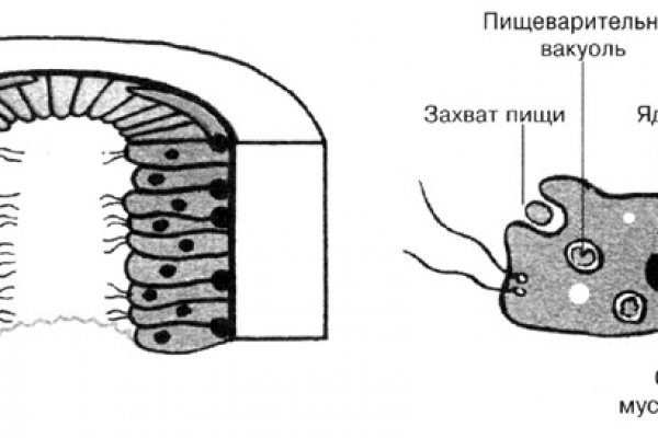 Почему не работает кракен сегодня