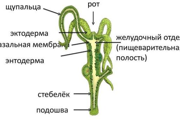 Кракен даркнет ссылка на сайт